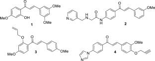 O-Allyloxy chalcone derivatives: design, synthesis, anticancer activity, network pharmacology and molecular docking