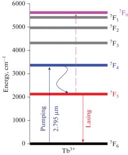 5-µm Lasing on Tb3+ Ions in a Chalcogenide Fiber Pumped by a 2.8-µm Er:ZBLAN Laser