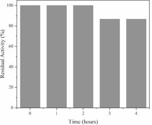 Employment of Magnetic Poly(Styrene-co-Triethylene Gycol Dimethacrylate) as an Immobilization Matrix for Lipase G: Application of Hexyl Oleate Synthesis and Kinetic Study