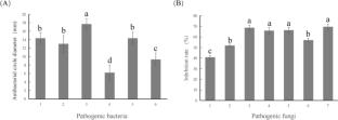 Separation and purification of antimicrobial substances from Paenibacillus polymyxa KH-19 and analysis of its physicochemical characterization