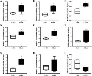 Transcriptome analysis reveals the importance of phototransduction during the first-feeding in mandarin fish (Siniperca chuatsi)