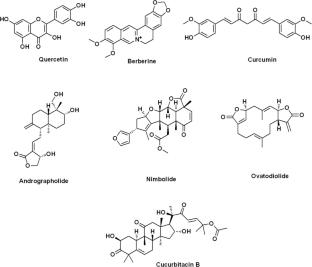 Natural compounds targeting miRNAs: a novel approach in oral cancer therapy