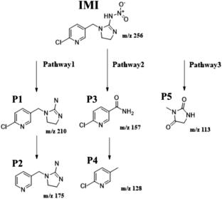 BiMO3 (M = Co, Fe, Mn) perovskite activating peroxymonosulfate-based advanced oxidation process in imidacloprid degradation