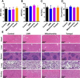 Engineered mitochondrial ROS scavenger nanocomplex to enhance lung biodistribution and reduce inflammation for the treatment of ARDS