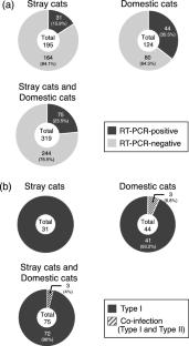 Molecular epidemiology and risk analysis for asymptomatic infection with feline enteric coronavirus in domestic and stray cats in Japan