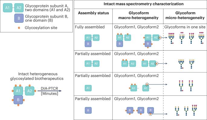 Cracking the diversity of sweet drugs