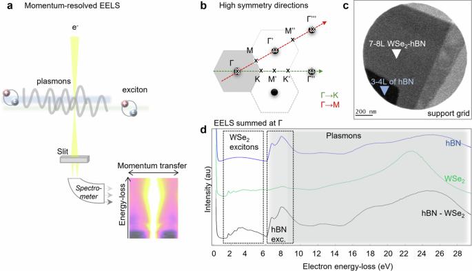 Mapping the energy-momentum dispersion of hBN excitons and hybrid plasmons in hBN-WSe2 heterostructures