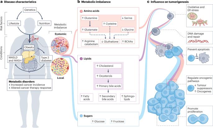 Macrophages and T cells in metabolic disorder-associated cancers