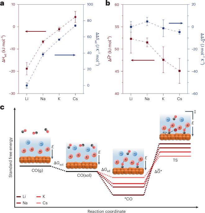 Deconvoluting the cation effect on carbon monoxide electroreduction