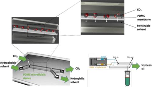 Toward Liquid–Liquid Extraction Using Switchable Hydrophilicity Solvents in Microfluidic Poly(dimethylsiloxane) Chips