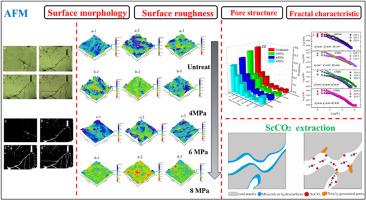 Microstructural response of coal fracture surface induced by ScCO2 injection measured with AFM