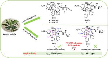 Flavaglines with anti-neuroinflammatory activity from Aglaia edulis (Roxb.) Wall. and structure revision of related flavaglines