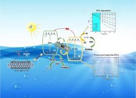 Z-scheme Fe2O3/ZnS/CNTs nanohybrids with enhanced photocatalytic performance for sulfamethoxazole elimination under visible light illumination