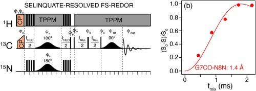 Homonuclear J-couplings and heteronuclear structural constraints