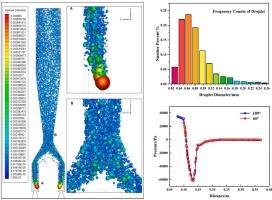 Polycarbonate resin powder production via steam precipitation process: Experiment and CFD simulation