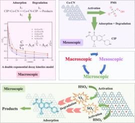 New insight to kinetics model for cobalt doped g-C3N4 activated PMS for the efficient removal of ciprofloxacin: A bi-exponential decay model and mechanism