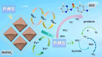 Activation of persulfate by MOF-derived MnFeOx to efficiently degrade sulfadiazine: Synergistic effects from free radicals and singlet oxygen