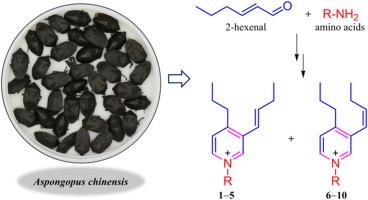 Aspongpyridiniums A−J, amino acid-derived pyridinium salts from insect species Aspongopus chinensis