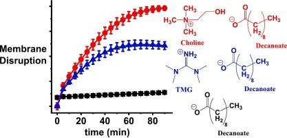 Lipid bilayer permeabilities and antibiotic effects of tetramethylguanidinium and choline fatty acid ionic liquids