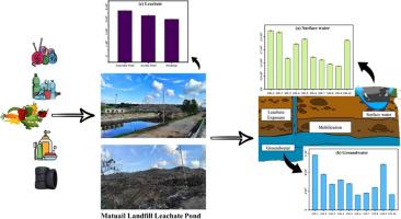 Pervasiveness and classification of microplastics in Landfill Leachate: Impacts, risks, and treatment efficiency