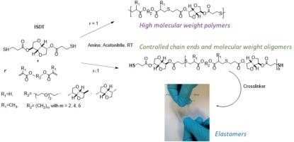 Synthesis of linear and crosslinked isosorbide-containing poly(β-thioether ester) via amine-catalyzed thiol-Michael addition