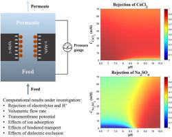 Unraveling the impact of ion adsorption and dielectric exclusion on nanofiltration through pH-regulated cylindrical nanopores