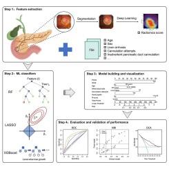 Duodenal papilla radiomics-based prediction model for post-ERCP pancreatitis using machine learning: a retrospective multicohort study