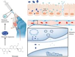 Study on the preparation of stabilizer-free silymarin nanocrystals and its oral absorption mechanisms