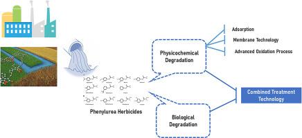 Understanding the environmental fate and removal strategies of phenylurea herbicides: A comprehensive review