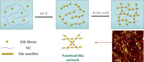 Preparation of nanocellulose-silk fibroin stiff hydrogel and high absorbing-low expansion xerogel via polysaccharide-protein interactions