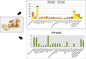 First report of aflatoxin and ochratoxin contamination in ginger collected from different agroclimatic zones from Punjab, Pakistan