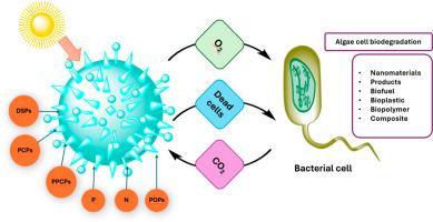 Microalgae to remove pharmaceutical and personal care products (PPCPs) from wastewater