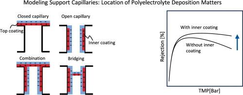 Unraveling the ion transport through top and wall coated polyelectrolyte membrane pores