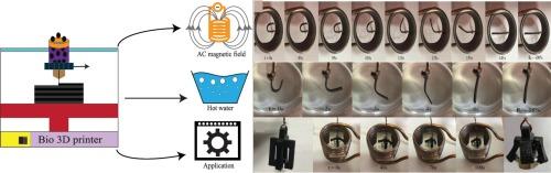 Development and 4D printing of magneto-responsive PMMA/TPU/Fe3O4 nanocomposites with superior shape memory and toughness properties