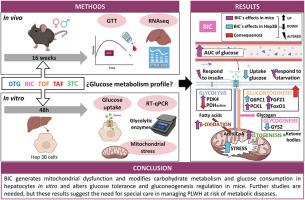 Bictegravir alters glucose tolerance in vivo and causes hepatic mitochondrial dysfunction