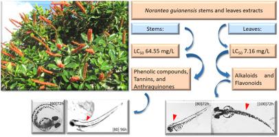 Evaluation of chemical constituents in Norantea guianensis aubl. Extracts, embryotoxicity, and acetylcholinesterase inhibitory potential in Danio rerio