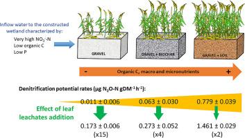 The effect of leaf leachates addition on denitrification in subsurface flow constructed wetlands is shaped by the bed substrate type