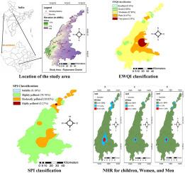 Assessing sources of groundwater quality and health risks using graphical, multivariate, and index techniques from a part of Rajasthan, India