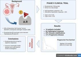 Phase II clinical trial assessing the efficacy of enzalutamide in advanced non-resectable granulosa cell ovarian tumors: The GREKO III study (GETHI2016–01)