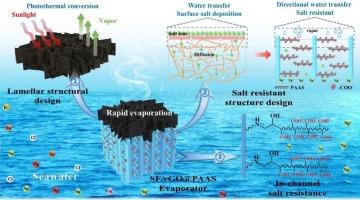 Silk-based polyelectrolyte evaporator with excellent salt resistance for high-rate and stable solar desalination