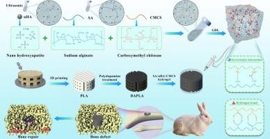 Carboxymethyl chitosan-enhanced multi-level microstructured composite hydrogel scaffolds for bone defect repair