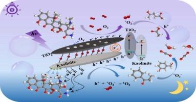 Understanding the potential of coal gangue as photocatalyst for antibiotic degradation: The role of abundant oxygen vacancies and electron-hole pairs