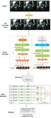 3D skeleton aware driver behavior recognition framework for autonomous driving system