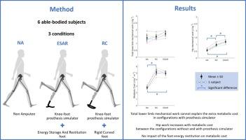 Mechanical Work and Metabolic Cost of Walking with Knee-Foot Prostheses: A Study with a Prosthesis Simulator