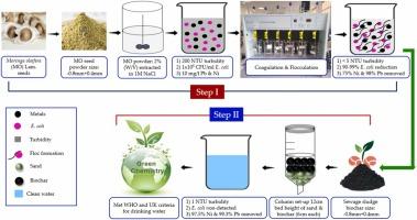 Sequential novel use of Moringa oleifera Lam., biochar, and sand to remove turbidity, E. coli, and heavy metals from drinking water