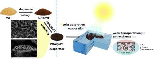 Highly efficient and salt resistant solar interface evaporator based on pressed wood flour with multi-level pores