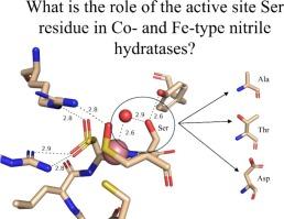 Catalytic and post-translational maturation roles of a conserved active site serine residue in nitrile hydratases