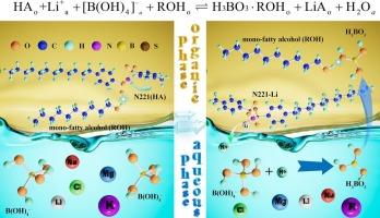 A study on the coupling of Li+ and H3BO3 extraction and their mutual promotion mechanism