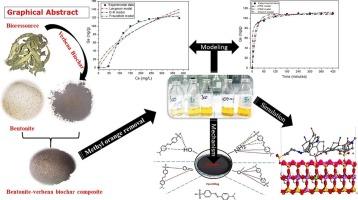 Bentonite-verbena biochar composite for anionic dye removal: Investigation, simulation and modeling