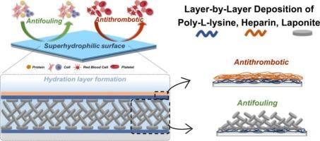 Synergistic coating of Laponite swollen-layer and heparin composite for enhanced antifouling and antithrombotic performance